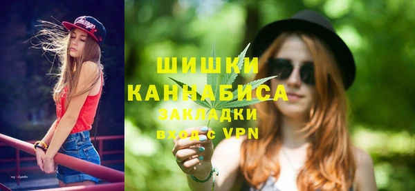 ГАЛЛЮЦИНОГЕННЫЕ ГРИБЫ Аркадак