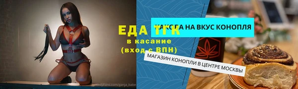 ГАЛЛЮЦИНОГЕННЫЕ ГРИБЫ Аркадак